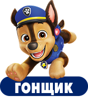 Гонщик
